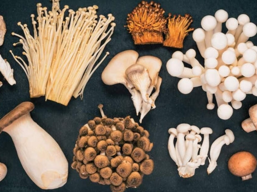 Mushroom Magic: Health Benefits of Functional Mushrooms